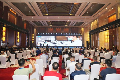 海南數(shù)字文化產(chǎn)業(yè)交流會成功舉辦 以數(shù)字化賦能文化產(chǎn)業(yè)高質量發(fā)展